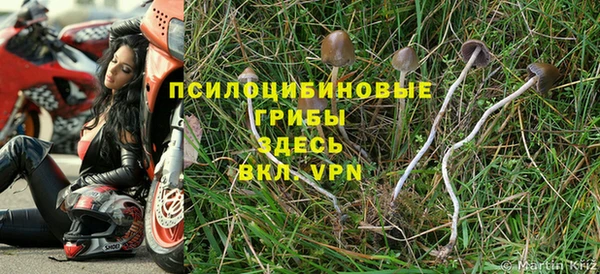 spice Балабаново