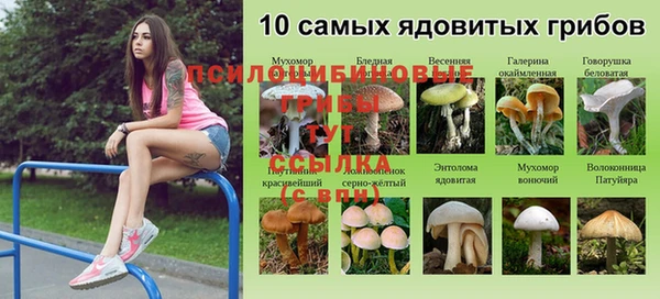 дмт Аркадак