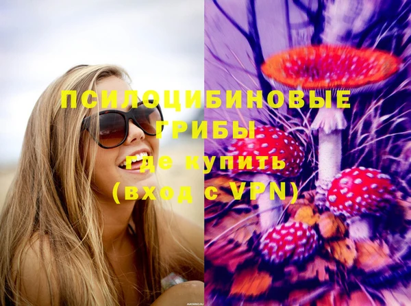 дмт Аркадак