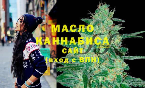 дмт Аркадак