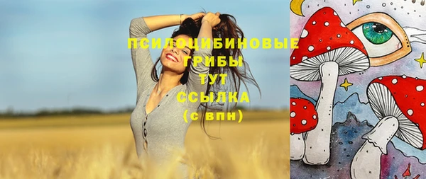 ГАЛЛЮЦИНОГЕННЫЕ ГРИБЫ Армянск