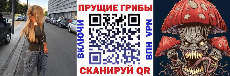 гидра ТОР  Моздок  Псилоцибиновые грибы ЛСД 